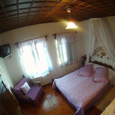 Mansion Theodora Hotel Makrinitsa Exterior foto